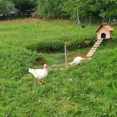 loisirs camping gers (12) leisure occitanie