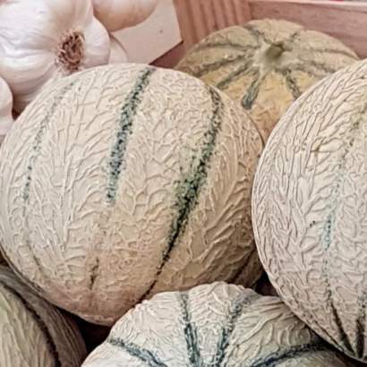 Melons de Lectoure et ail du Gers